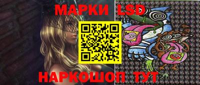 шишки Новозыбков