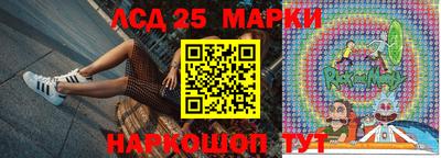 шишки Новозыбков