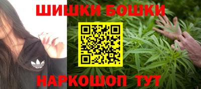 шишки Новозыбков