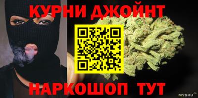 шишки Новозыбков